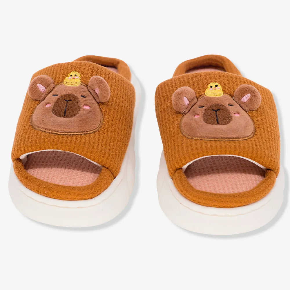 10074061 Chinelo Nuvem Capivara Zona Criativa